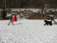 /album/cvicak-02-2013/tapko1-jpg/